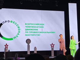 Чемпионат по профессиональному мастерству Чемпионат по профессиональному мастерству.